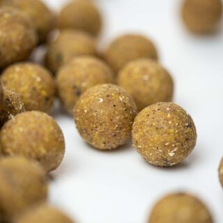 Carpline24 - Futterboilies Kokos - 10 kg 16 mm