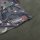 Trakker RLX Bed Cover Wide Camo