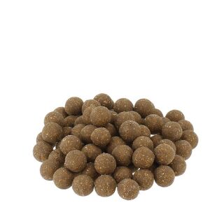 Carpline24 - Fischmehlboilies NEUTRAL - 1 kg 20 mm